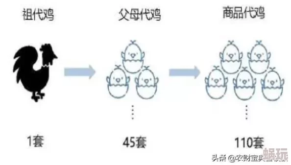 DNF玩家必看：终结套装备更换指南，详解哪个部位最值得替换升级