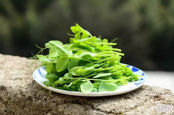 春菜：春季新鲜蔬菜上市各大市场纷纷推出特色春菜美食吸引顾客品尝