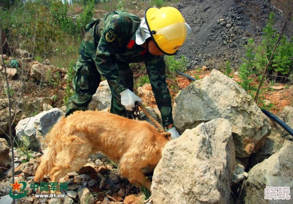 人体艺犬最新进展消息研究团队成功开发出新型生物材料提升了人体与动物的互动体验引发广泛关注与讨论