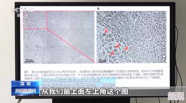 扒开未发育成熟的小缝视频最新研究显示该现象可能与细胞分化过程密切相关为生物学领域提供了新的视角