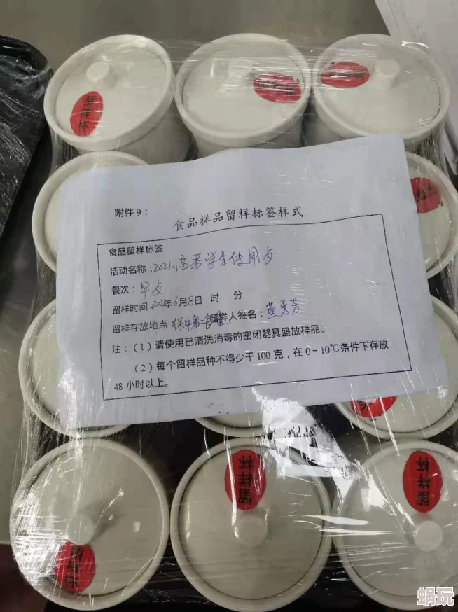 麻豆视频免费观看入口助力公益事业，传播正能量内容