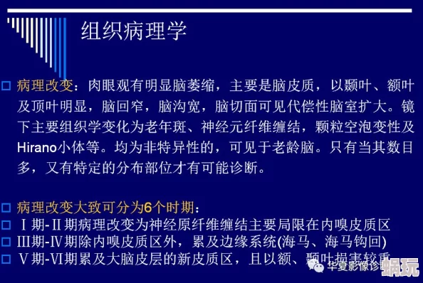 欧美日韩性视频最新研究显示观看此类内容可能影响大脑功能及人际关系