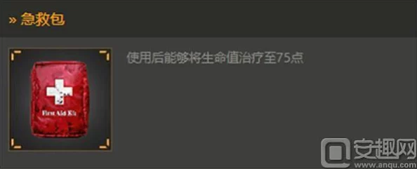 《光荣使命手游》药品大全详细介绍：掌握使用时机与注意事项，提升生存胜率攻略