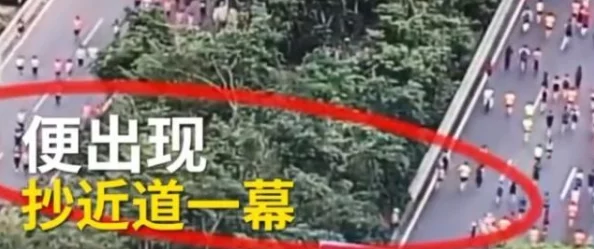 QQ飞车手游大神独家揭秘：高效抄近道技巧大放送，助你赛道飞驰领先一步！