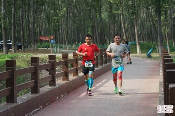 QQ飞车手游大神独家揭秘：高效抄近道技巧大放送，助你赛道飞驰领先一步！