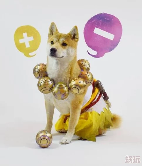 当Doge遇上OW：柴犬神级COSPLAY惊艳亮相，完美还原守望先锋英雄角色