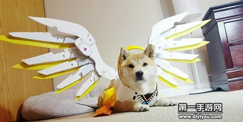 当Doge遇上OW：柴犬神级COSPLAY惊艳亮相，完美还原守望先锋英雄角色