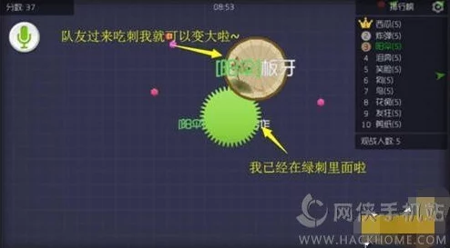 球球大作战高手揭秘：无中生有战术深度玩法思路与实战技巧分享