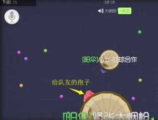 球球大作战大逃命模式攻略：高效区分安全区域技巧与策略分享