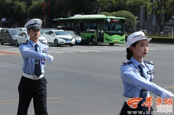 问道手游实力提升攻略：最新比武大赛阵容推荐与详细介绍