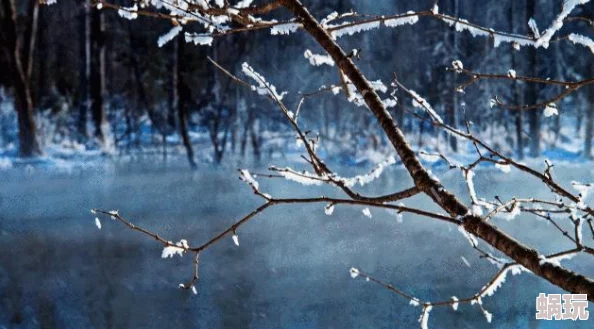 仙境传说RO手游：揭秘雪勒结晶怪物掉落地点与多元化获取途径详解