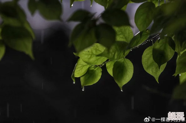 啊啊啊啊好湿原来是大自然的恩赐，雨水滋润万物生长