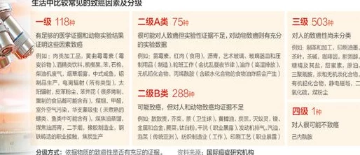 午夜a级理论片在线播放一级最新进展消息引发广泛关注专家表示该领域研究将推动相关技术的进一步发展与应用