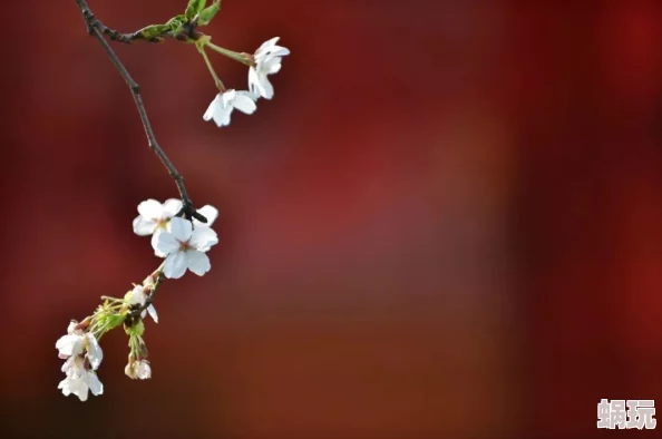 两点半AAAAA冬暖花会开