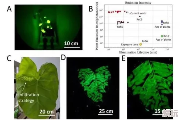 黄在线观看近日，科学家发现了一种新型荧光植物，能在夜间发光，成为自然界的奇观