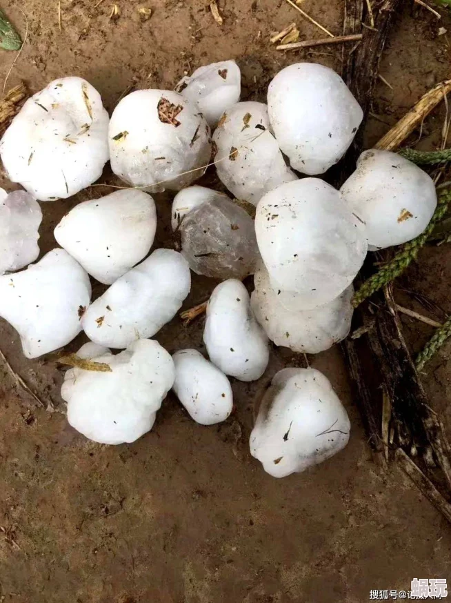 藕雹是一种由冰雹和莲藕混合形成的特殊天气现象，主要发生在莲藕种植区的夏季