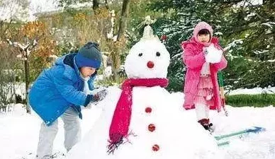 那两团雪球在他的手里小说这部作品讲述了一个关于童年、友情和成长的温馨故事