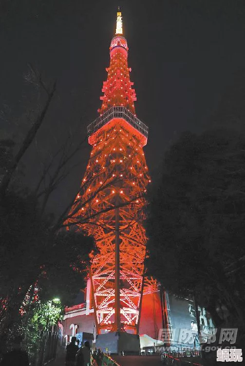 免费观看黄a一级视频日本东京塔夜景灯光秀即将上演