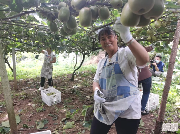 醉天下手游深度攻略：武将高效抽取技巧与玩法全解析