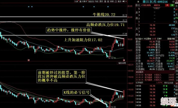 人人干人人爱干人在家也能赚钱新鲜事