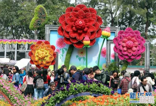 灼芙蓉近日，灼芙蓉在国际花卉展上获得金奖，吸引众多游客前来观赏