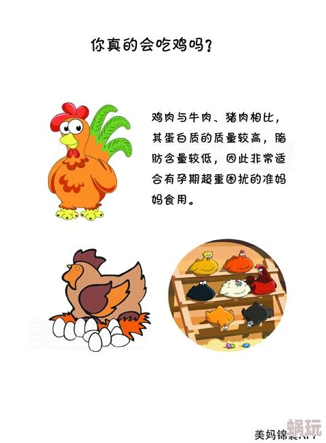 干妈咪：最新推出的健康食谱让你轻松享受美味与营养