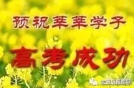 高考后的假期免费阅读新夕阳玫瑰绽放希望与美好勇敢追梦成就未来