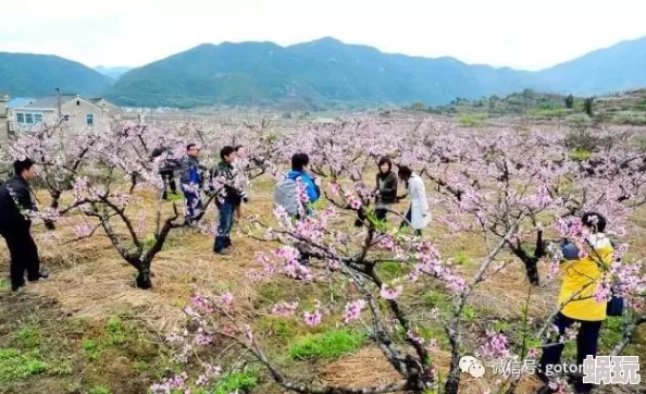 乡村活寡之桃花村青田街一号心怀梦想勇往直前创造美好未来