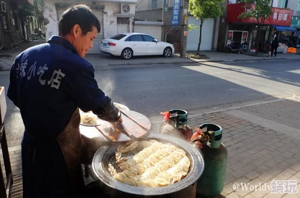 荒野日记剧情模式：最新关键点解析与高效过关技巧揭秘