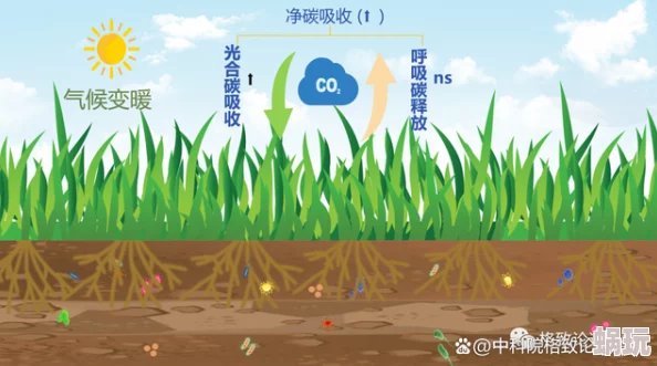 看草逼近日一项研究发现草地生态系统对气候变化的适应能力显著增强