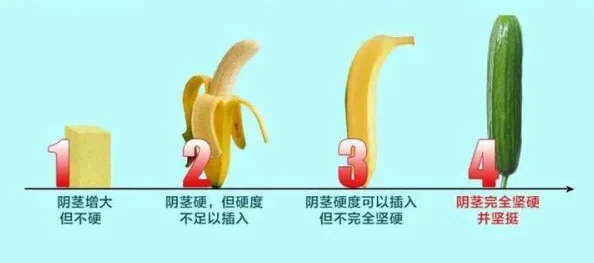 粗一硬一长一进一爽一a级最新资源更新下载速度提升画质更清晰