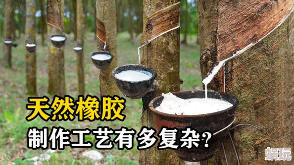 一小时人生：2024新版乳胶制作全攻略，配方材料与新鲜技巧一览无遗