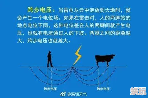 雷电将军被X出白色液体调查仍在进行中具体情况暂不便透露