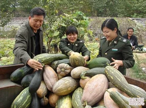 草莓丝瓜芭乐种植试验田喜获丰收新品种即将上市