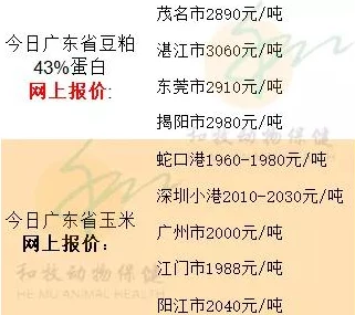 毛都没有就被开了苞在线电影高清完整版现已上线