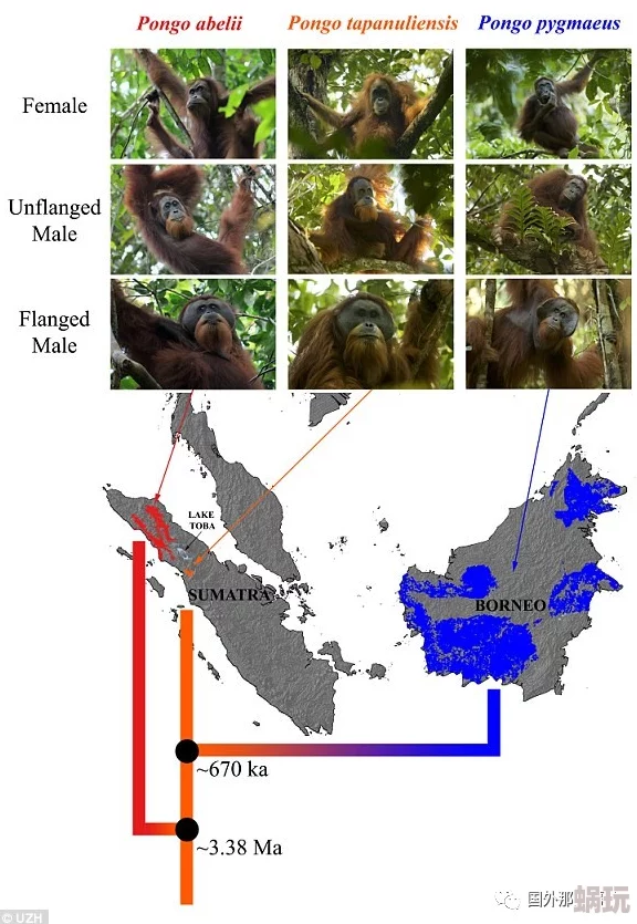 印度最猛性ⅹxxxxx近日科学家发现新物种揭示生物多样性新秘密