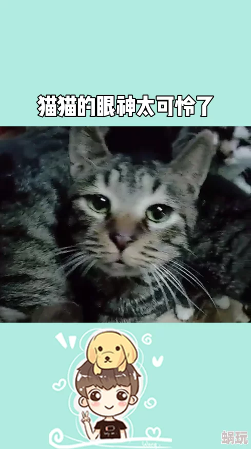 小仙女np高h我的心里住着一只猫勇敢追梦生活充满希望