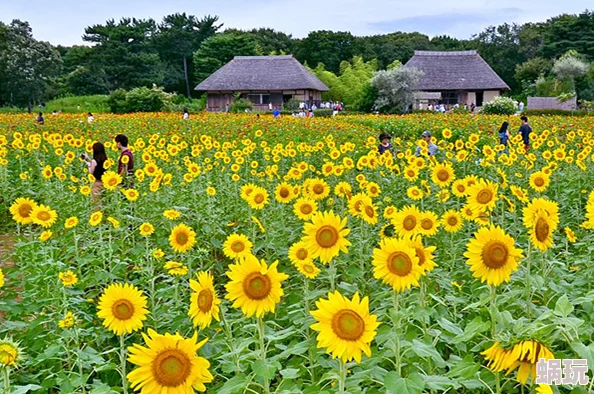 偷偷操不一样鲜花盛开的山村让我们共同守护这片美丽的土地与自然和谐共生