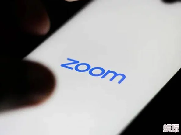 Zoom与人马性功能最简单处理项目暂停等待进一步通知