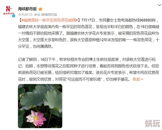 林天成莲花村全集全文免费爱情的理解爱是相互扶持与成长的力量，让心灵彼此温暖