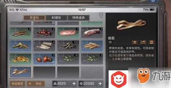 明日之后新版本：麻绳的创意用途揭秘及高效获取攻略大放送！