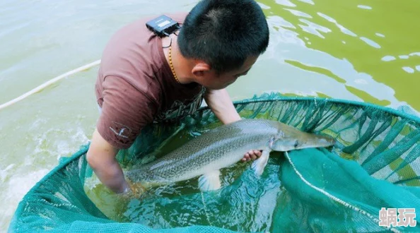 海岛纪元钓鱼新攻略：揭秘高效钓大鱼技巧，让巨物上钩更轻松！