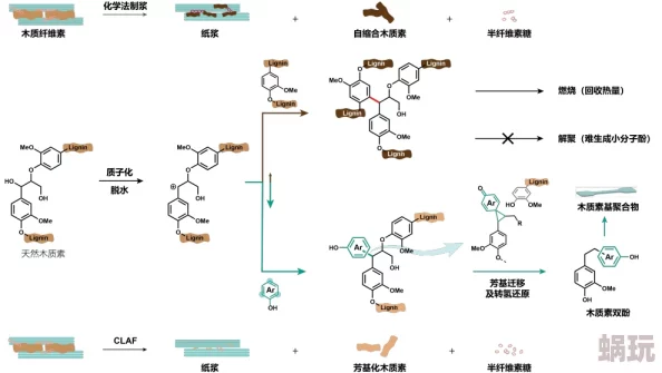 木素动态图研究取得新进展揭示木质素合成调控机制