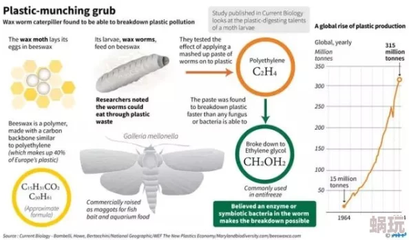 日本xxxxxxxxx日本科学家发现新型可降解塑料材料可有效减少海洋污染