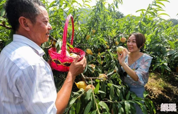 水蜜桃一二二区视在线平台维护升级预计将于三日内完成