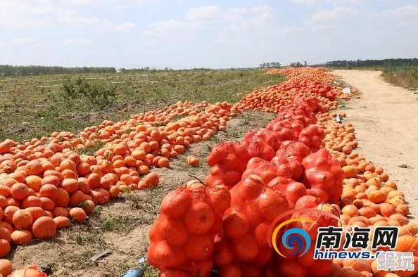 全民农场新攻略：掌握货车使用技巧，开启致富之路的必备新鲜策略