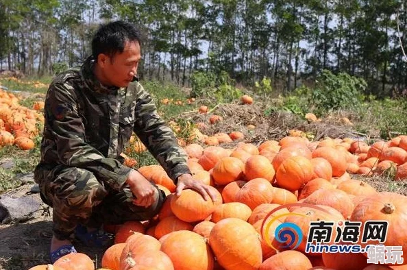 全民农场新攻略：掌握货车使用技巧，开启致富之路的必备新鲜策略