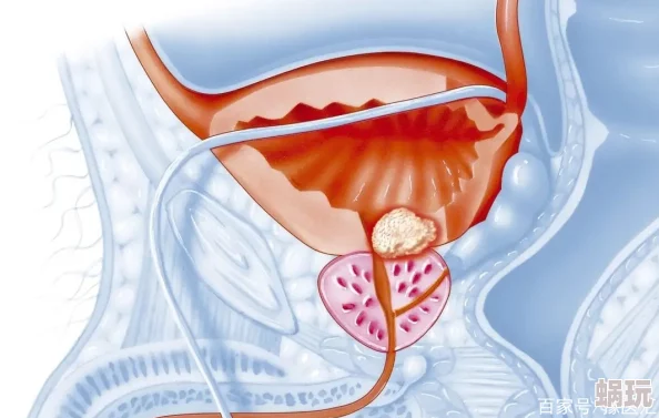 小受的前列腺被撞到舒服吗研究表明适度刺激可带来愉悦感和健康益处