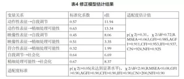 国内黄色电影的地下传播与社会影响研究