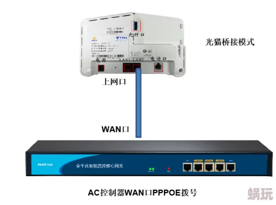 91cao据传服务器位于海外访问速度受限用户体验褒贬不一